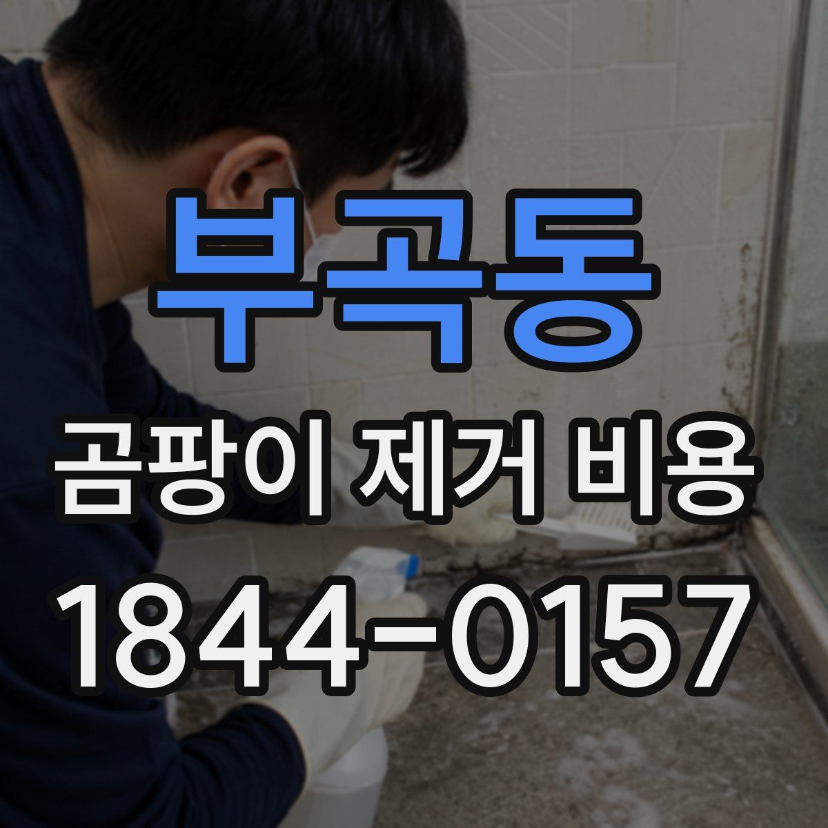 부곡동 곰팡이 제거 비용