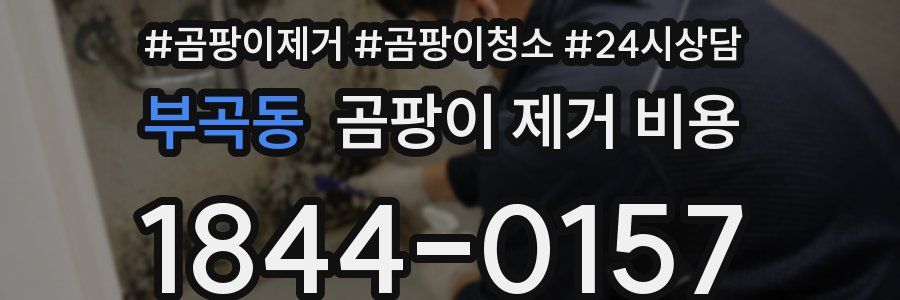 부곡동 곰팡이 제거 비용