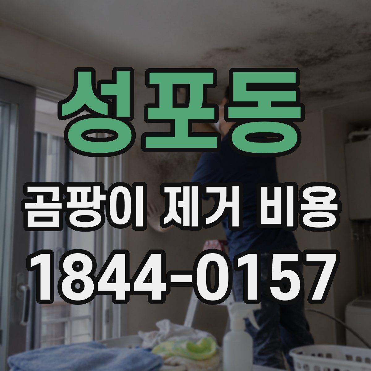 성포동 곰팡이 제거 비용
