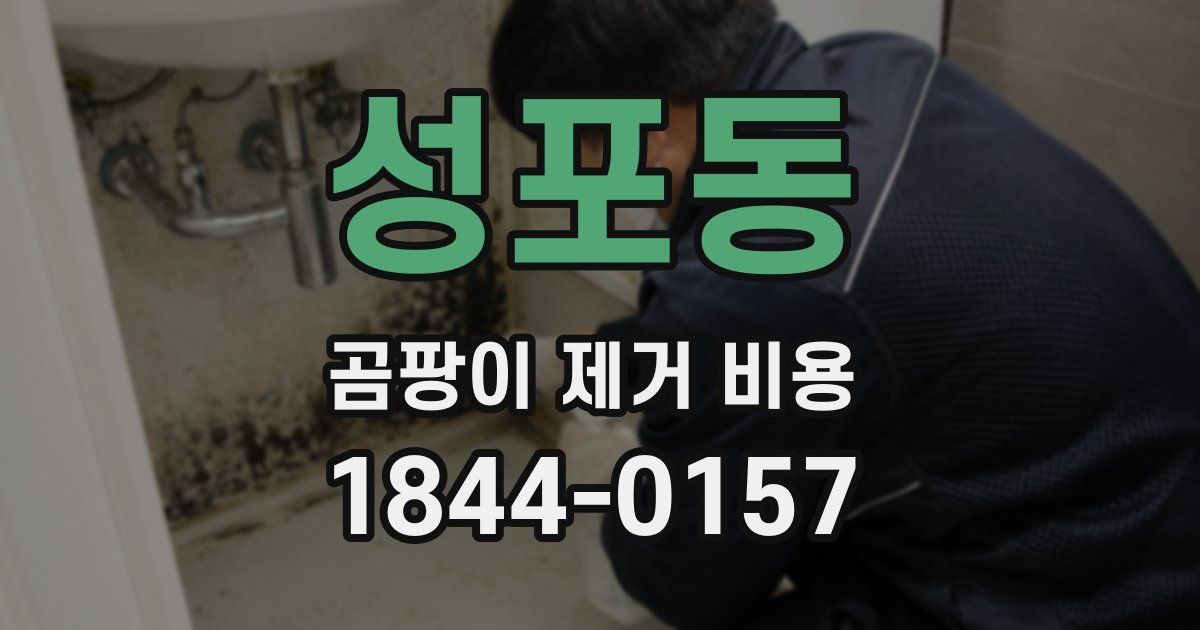 성포동 곰팡이 제거 비용