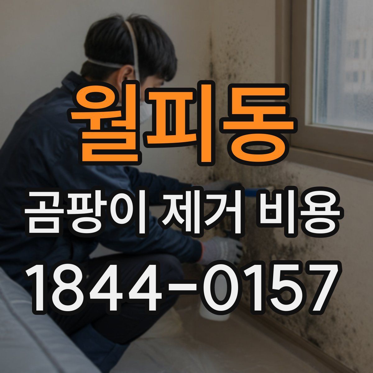 월피동 곰팡이 제거 비용
