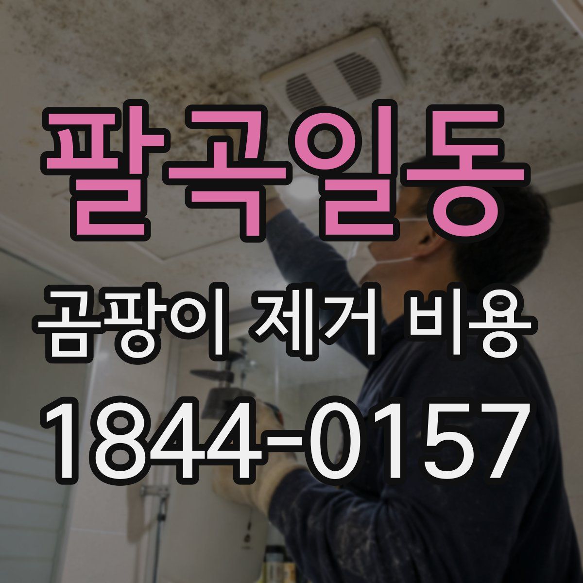 팔곡일동 곰팡이 제거 비용