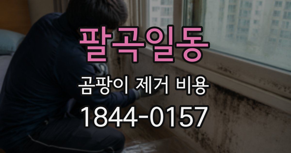 팔곡일동 곰팡이 제거 비용
