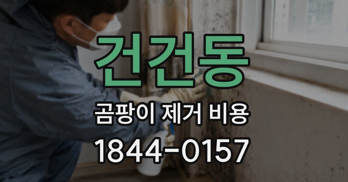 건건동 곰팡이 제거 비용