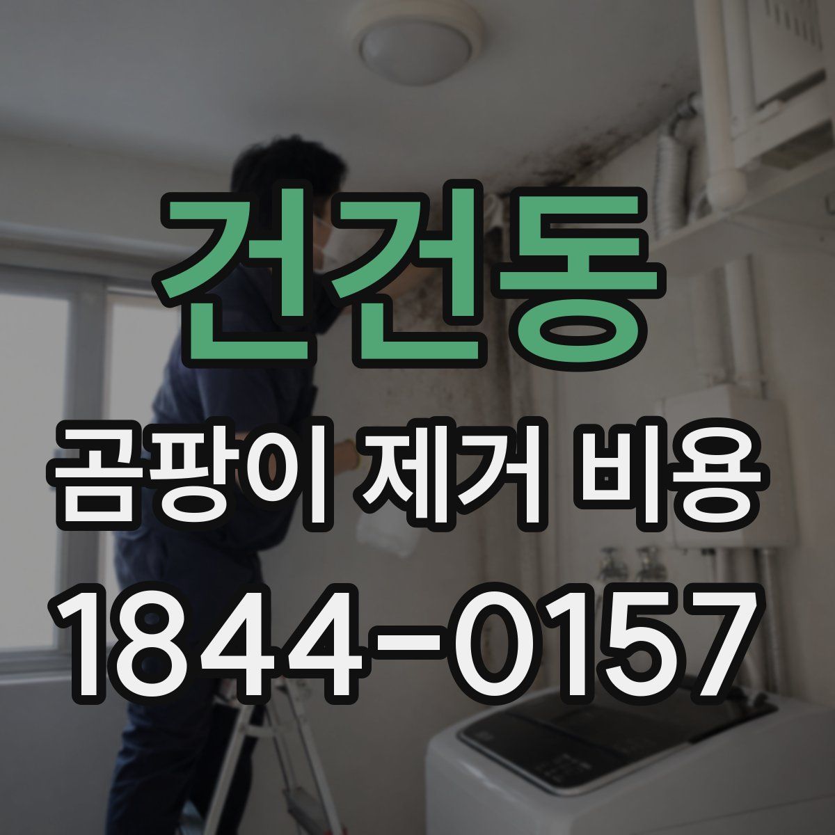 건건동 곰팡이 제거 비용