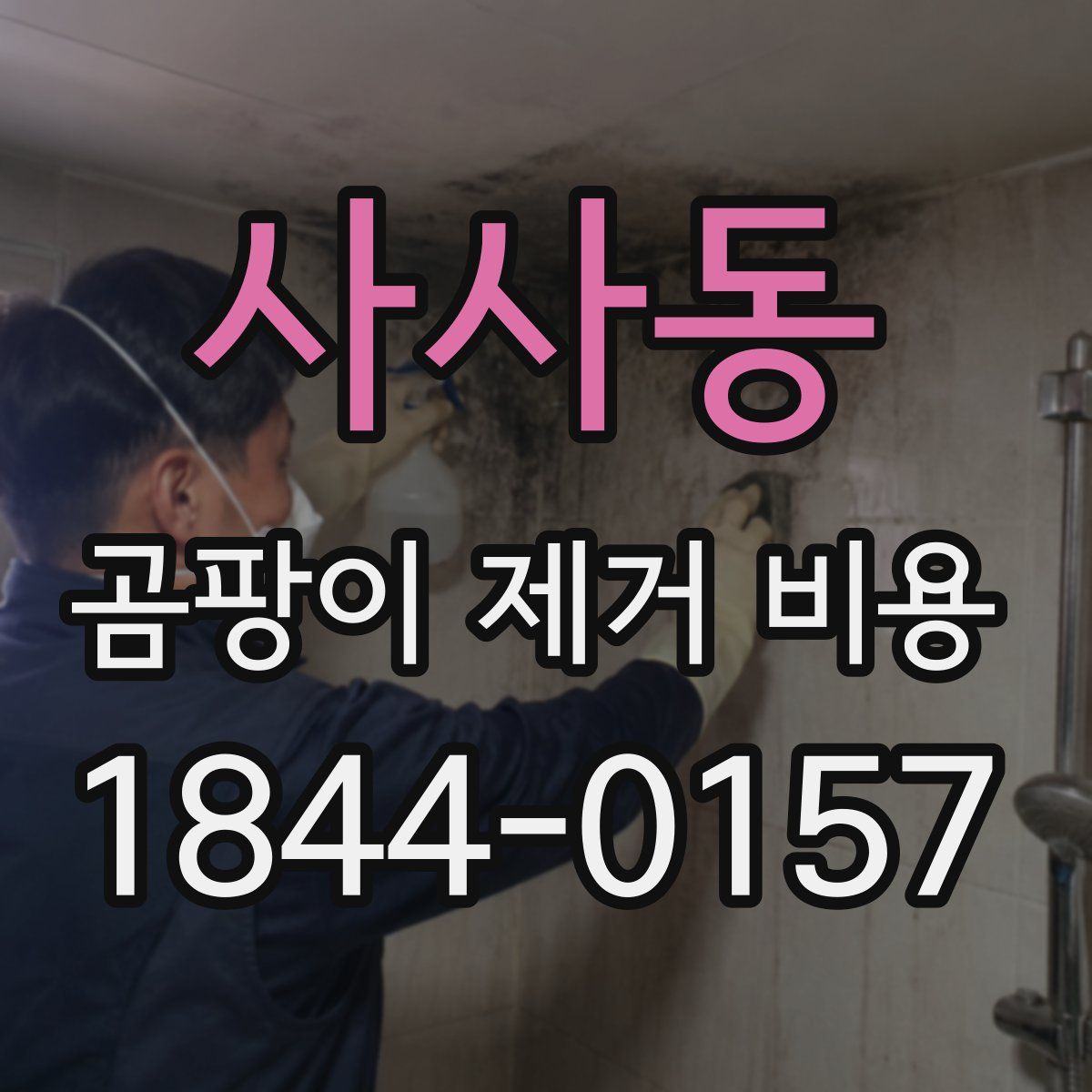 사사동 곰팡이 제거 비용
