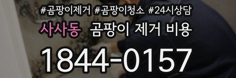 사사동 곰팡이 제거 비용