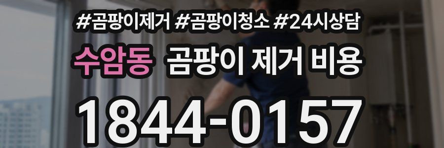 수암동 곰팡이 제거 비용