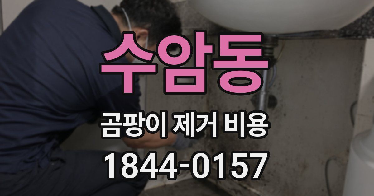 수암동 곰팡이 제거 비용