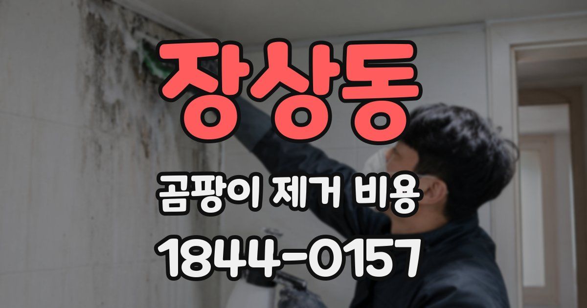 장상동 곰팡이 제거 비용