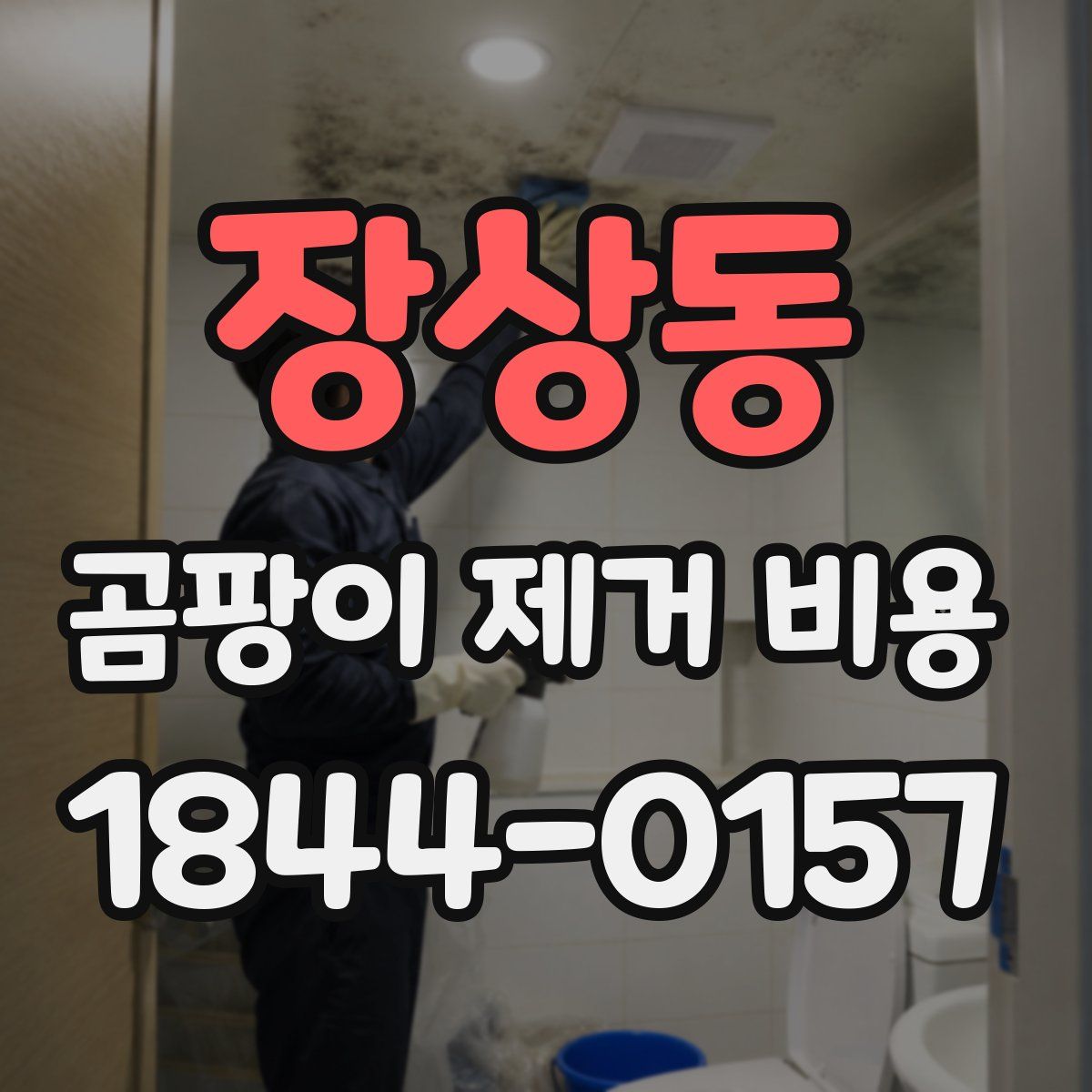 장상동 곰팡이 제거 비용