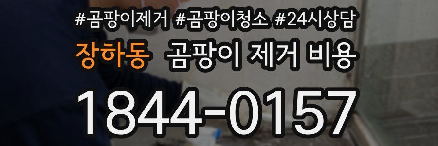 장하동 곰팡이 제거 비용