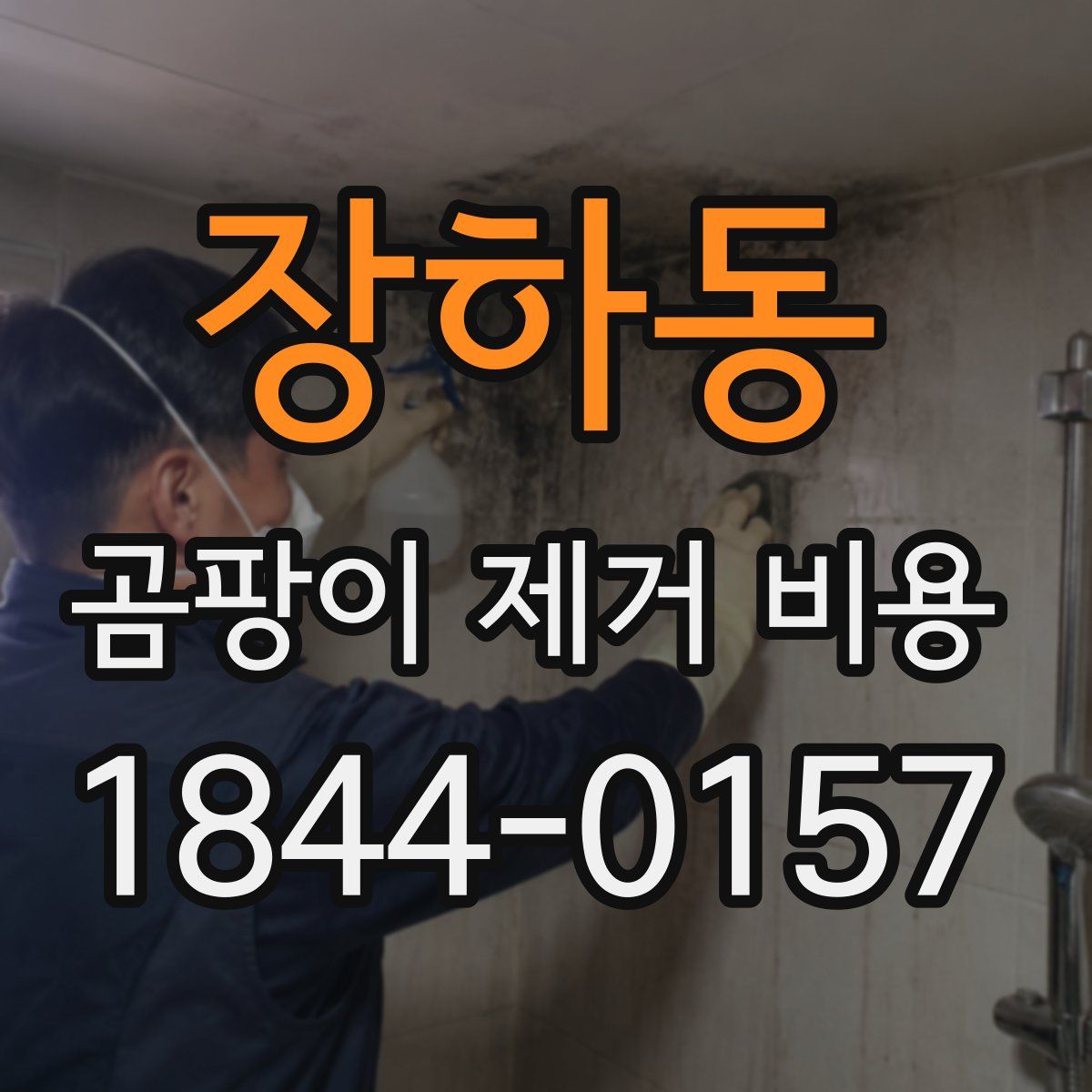 장하동 곰팡이 제거 비용
