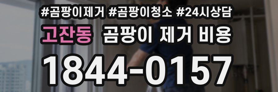 고잔동 곰팡이 제거 비용