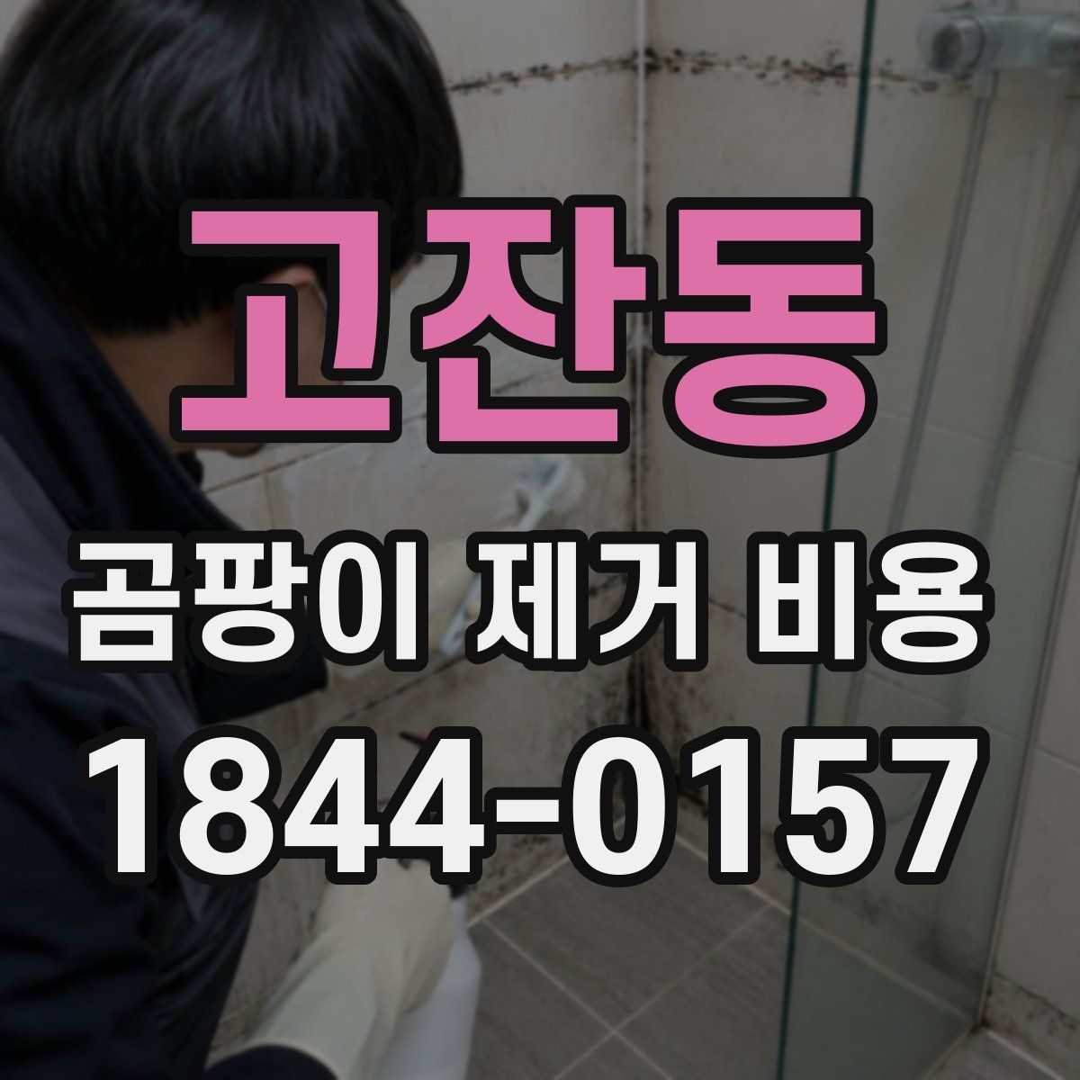 고잔동 곰팡이 제거 비용