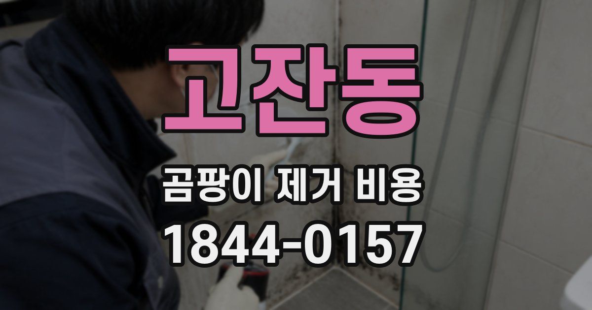 고잔동 곰팡이 제거 비용