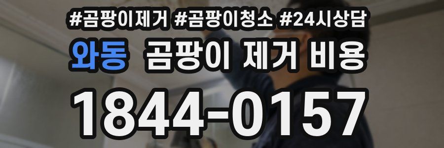 와동 곰팡이 제거 비용
