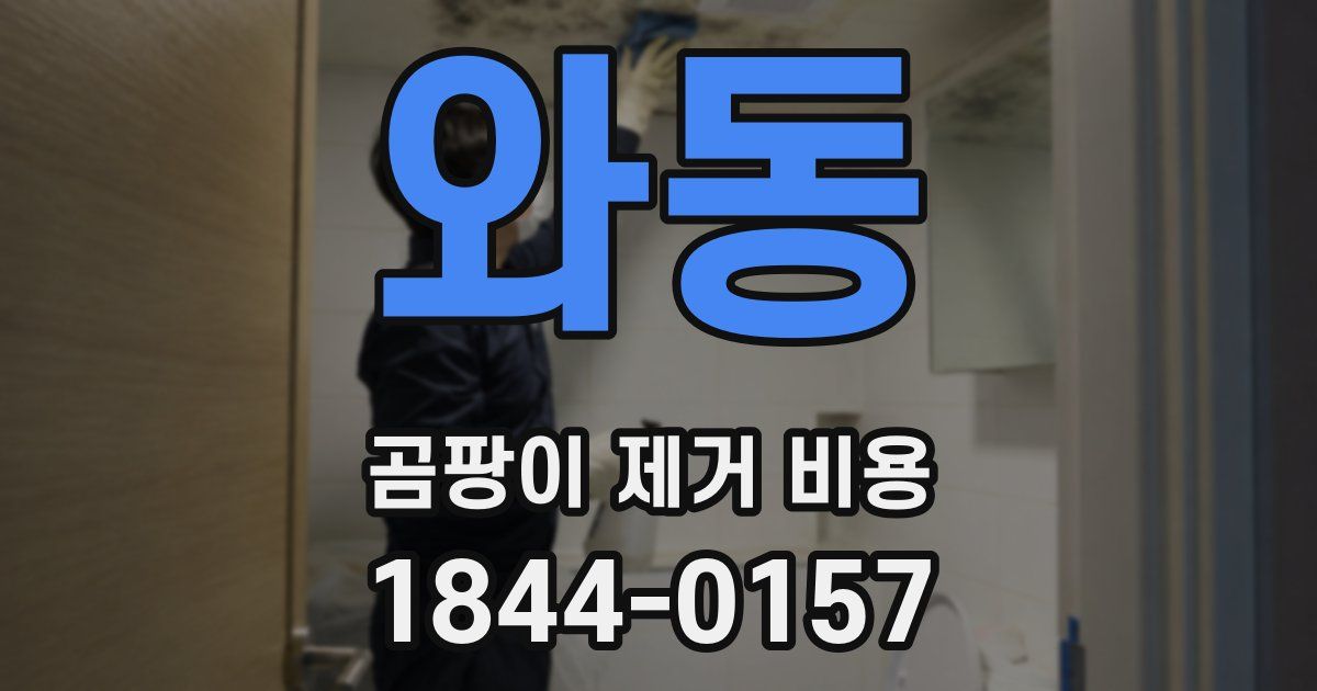 와동 곰팡이 제거 비용