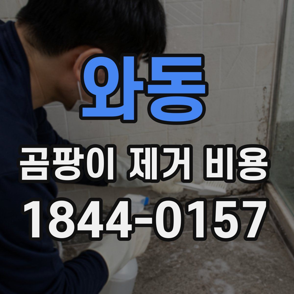 와동 곰팡이 제거 비용