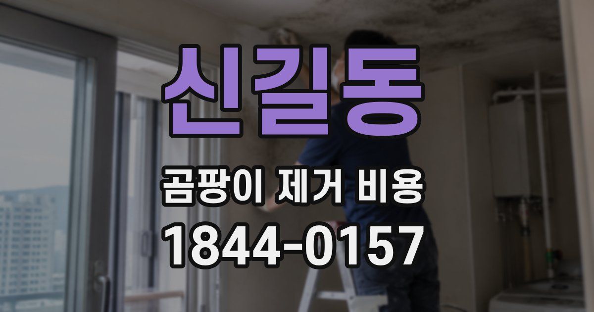 신길동 곰팡이 제거 비용
