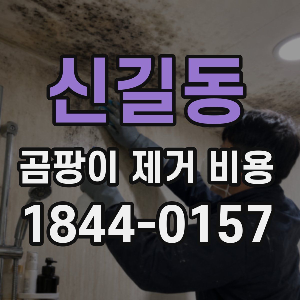 신길동 곰팡이 제거 비용