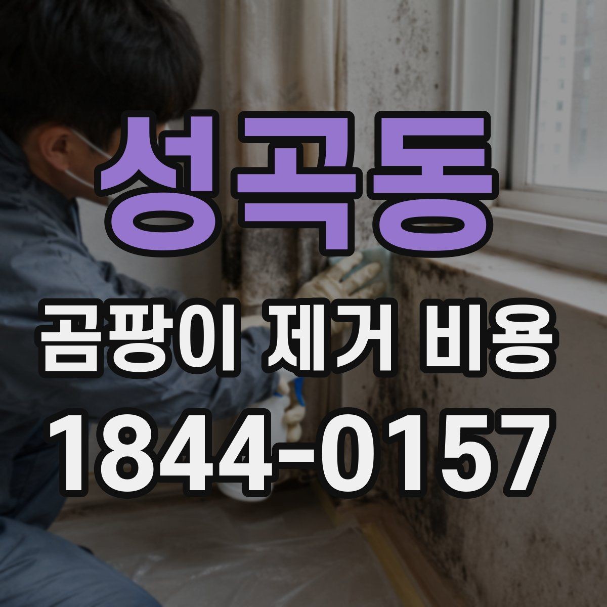 성곡동 곰팡이 제거 비용 벽지와 천장 시공별 차이 살펴보기