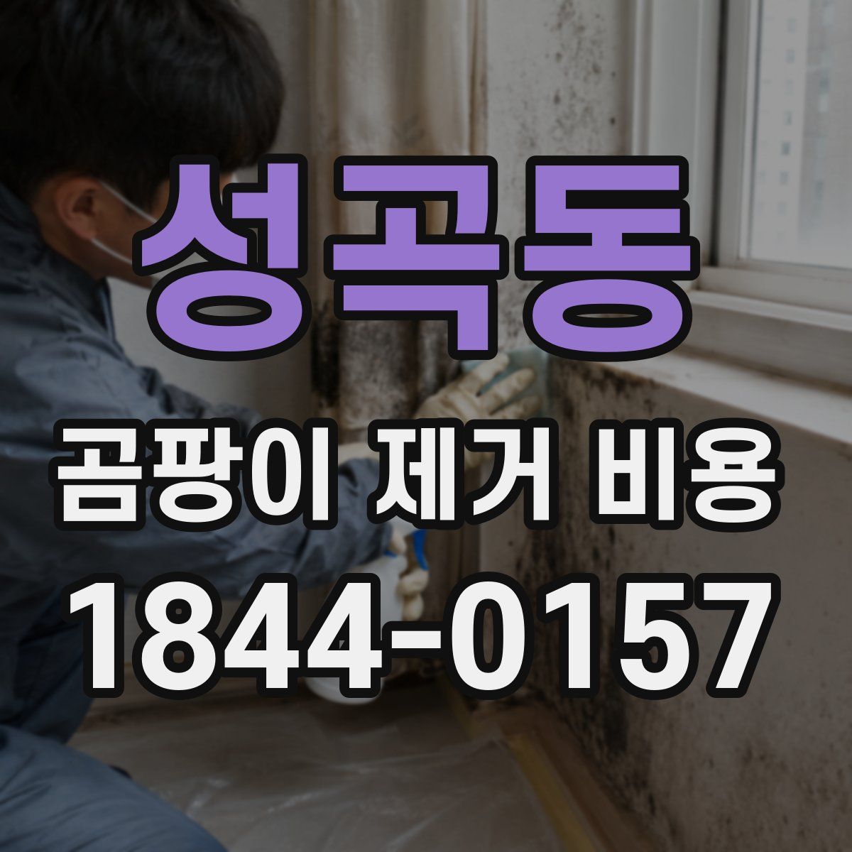 성곡동 곰팡이 제거 비용