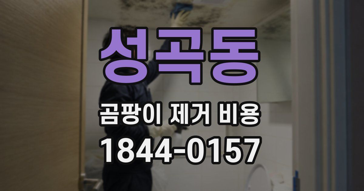 성곡동 곰팡이 제거 비용
