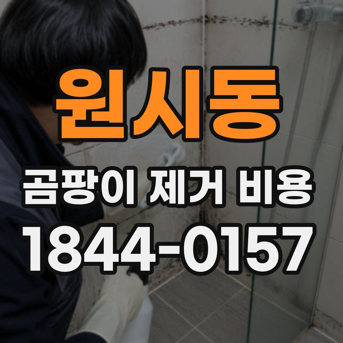 원시동 곰팡이 제거 비용