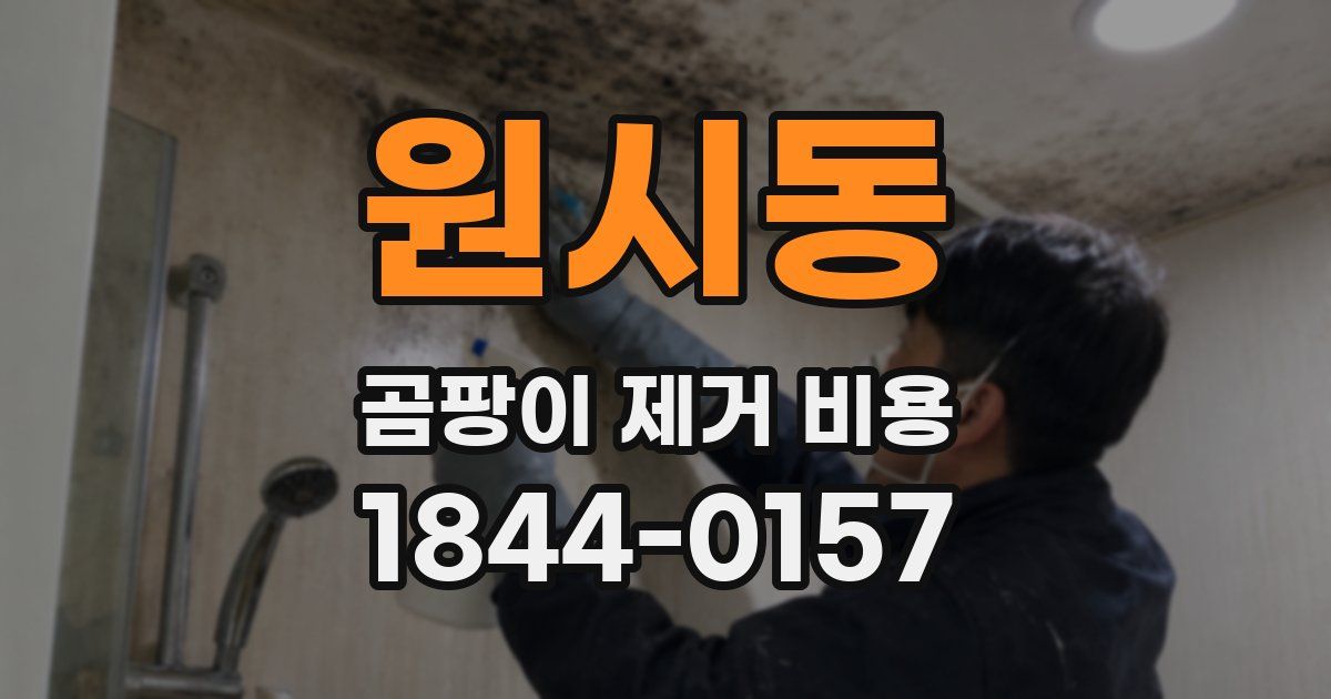 원시동 곰팡이 제거 비용