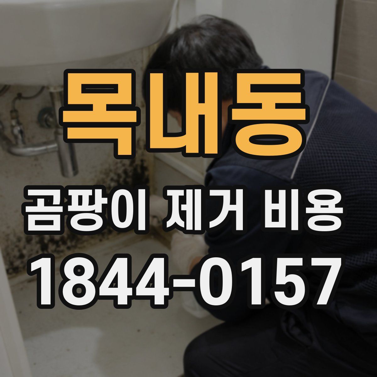 목내동 곰팡이 제거 비용