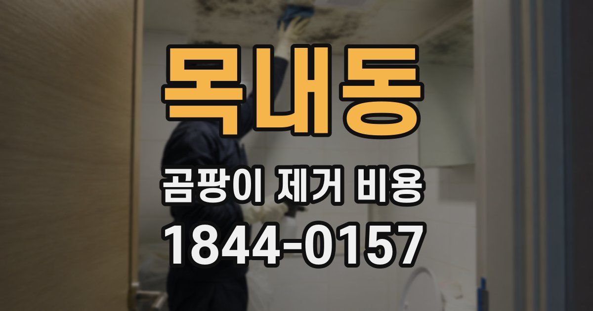 목내동 곰팡이 제거 비용