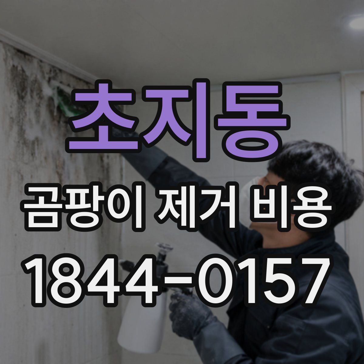 초지동 곰팡이 제거 비용