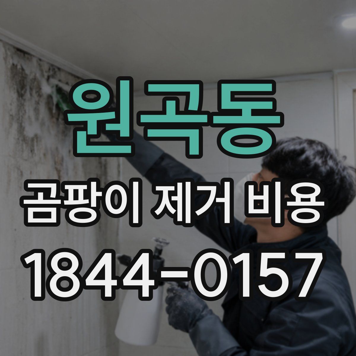 원곡동 곰팡이 제거 비용