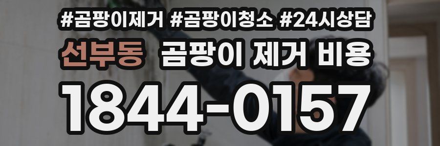 선부동 곰팡이 제거 비용