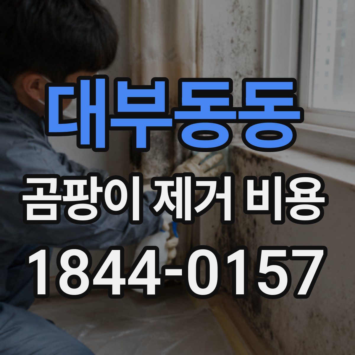 대부동동 곰팡이 제거 비용