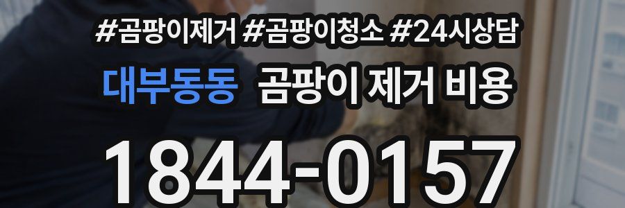 대부동동 곰팡이 제거 비용