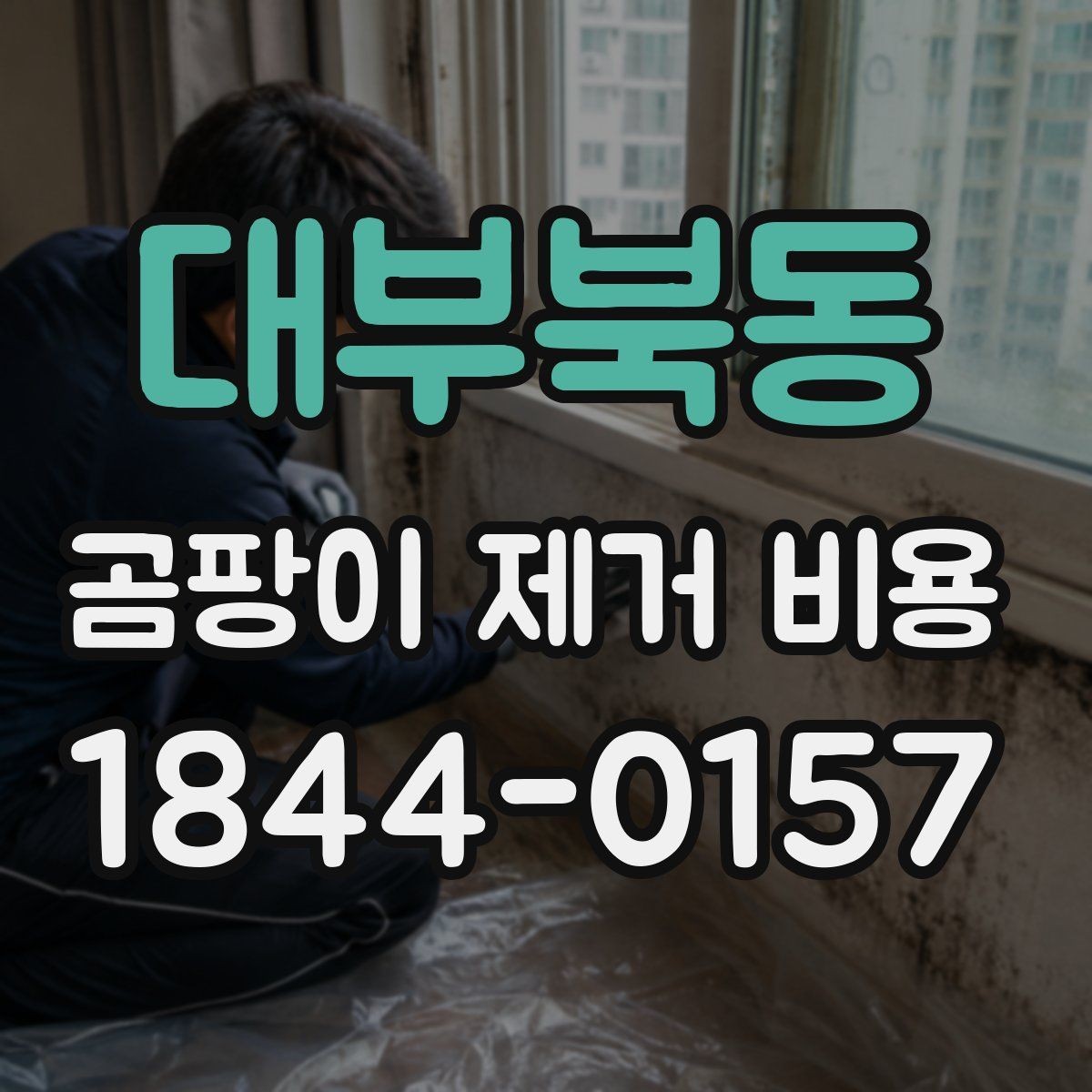 대부북동 곰팡이 제거 비용 철거 없이 진행하는 방식과 한계