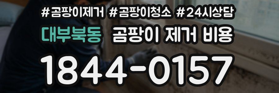 대부북동 곰팡이 제거 비용