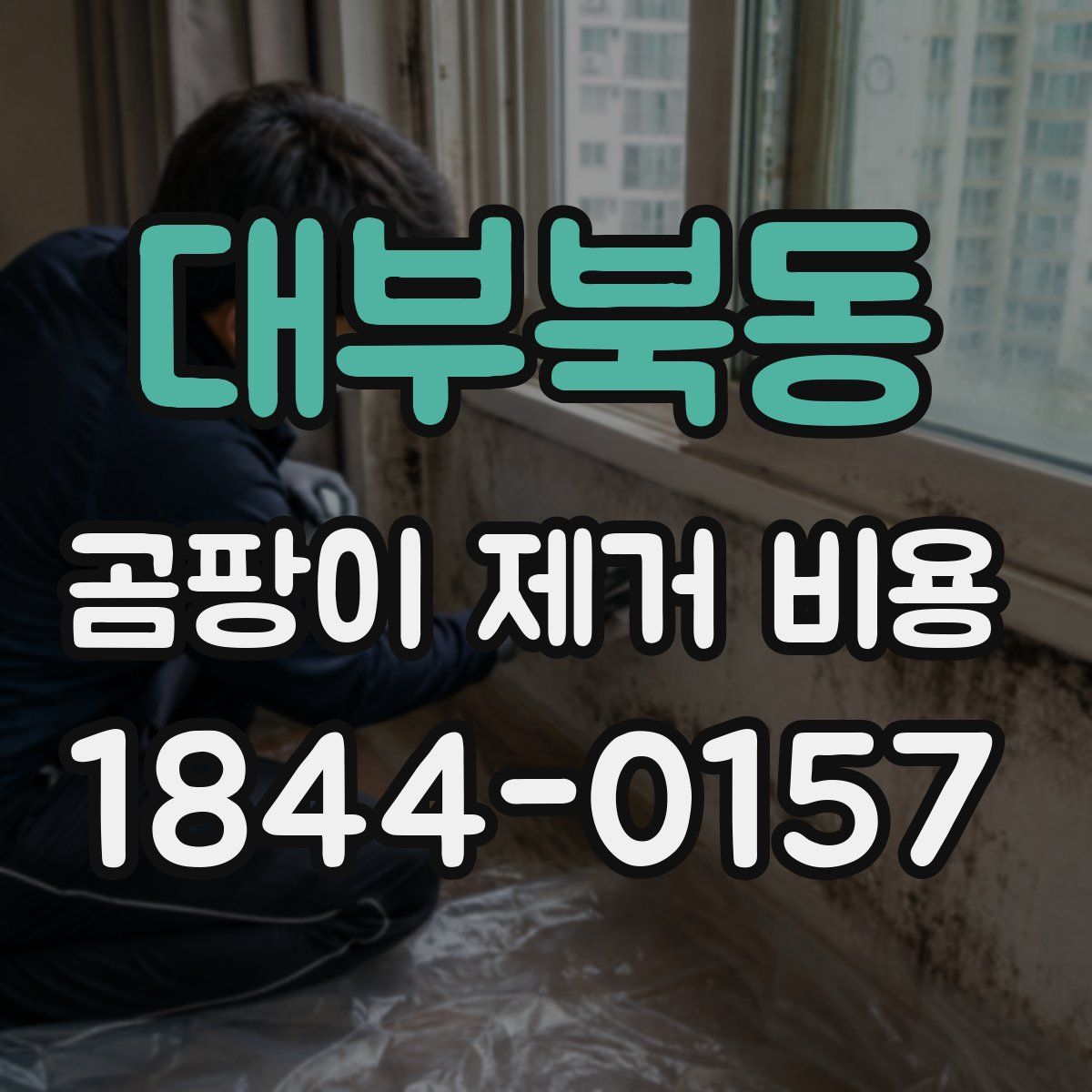 대부북동 곰팡이 제거 비용