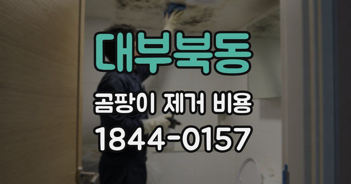 대부북동 곰팡이 제거 비용