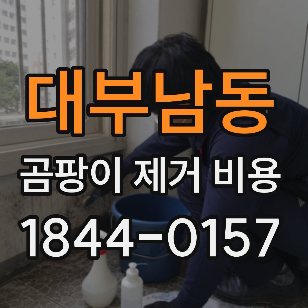 대부남동 곰팡이 제거 비용