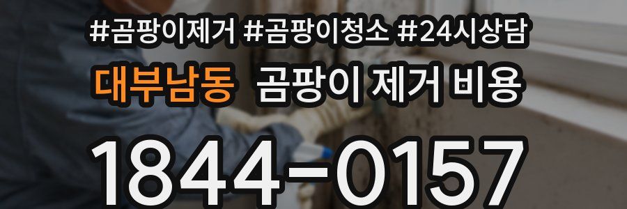 대부남동 곰팡이 제거 비용