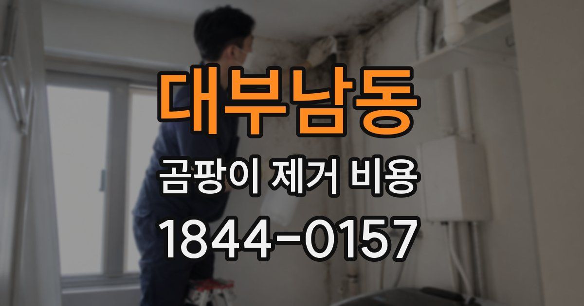 대부남동 곰팡이 제거 비용