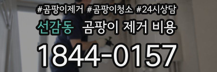 선감동 곰팡이 제거 비용