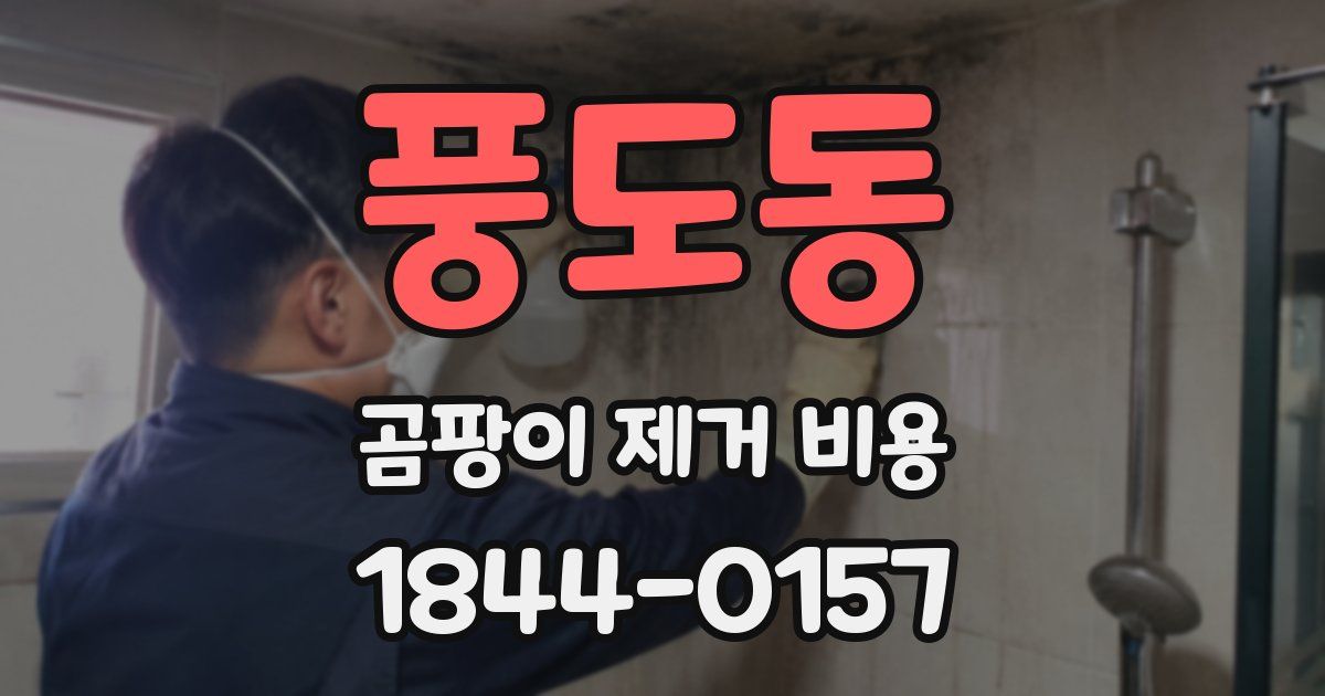 풍도동 곰팡이 제거 비용