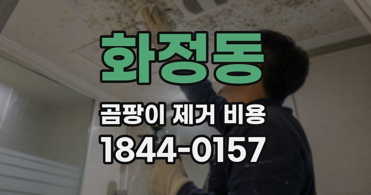 화정동 곰팡이 제거 비용