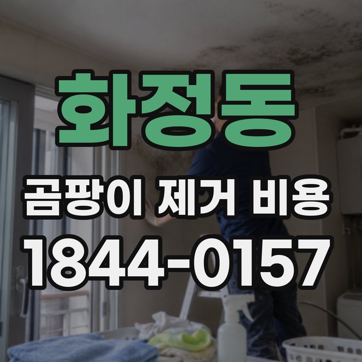 화정동 곰팡이 제거 비용