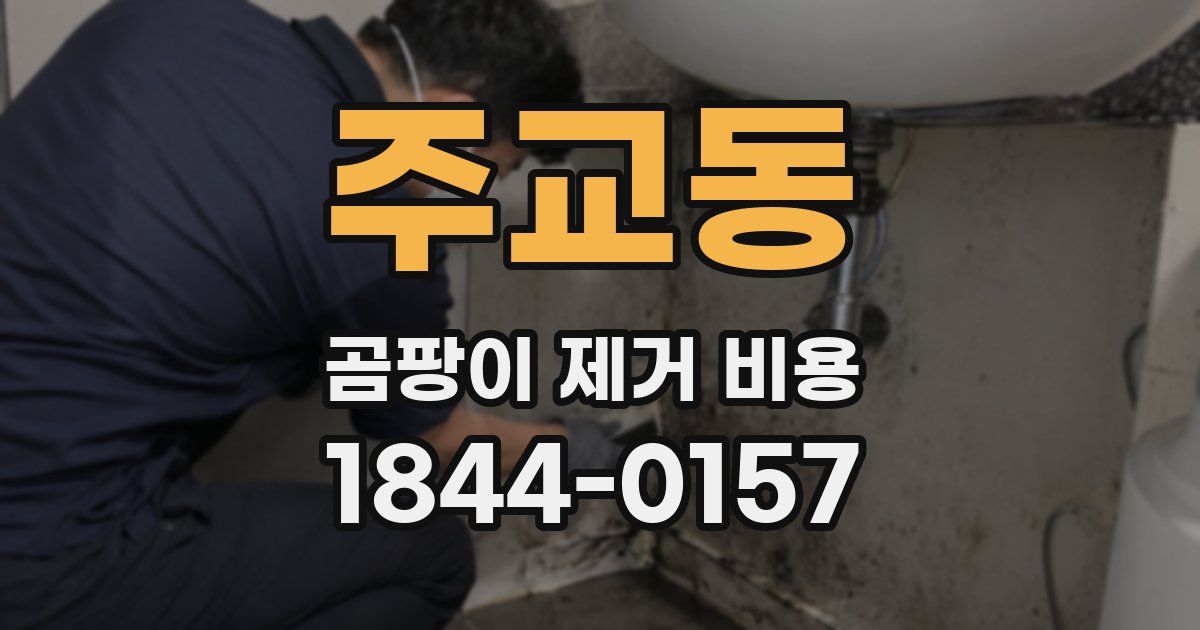 주교동 곰팡이 제거 비용