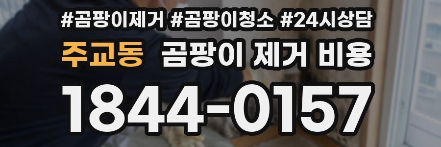 주교동 곰팡이 제거 비용